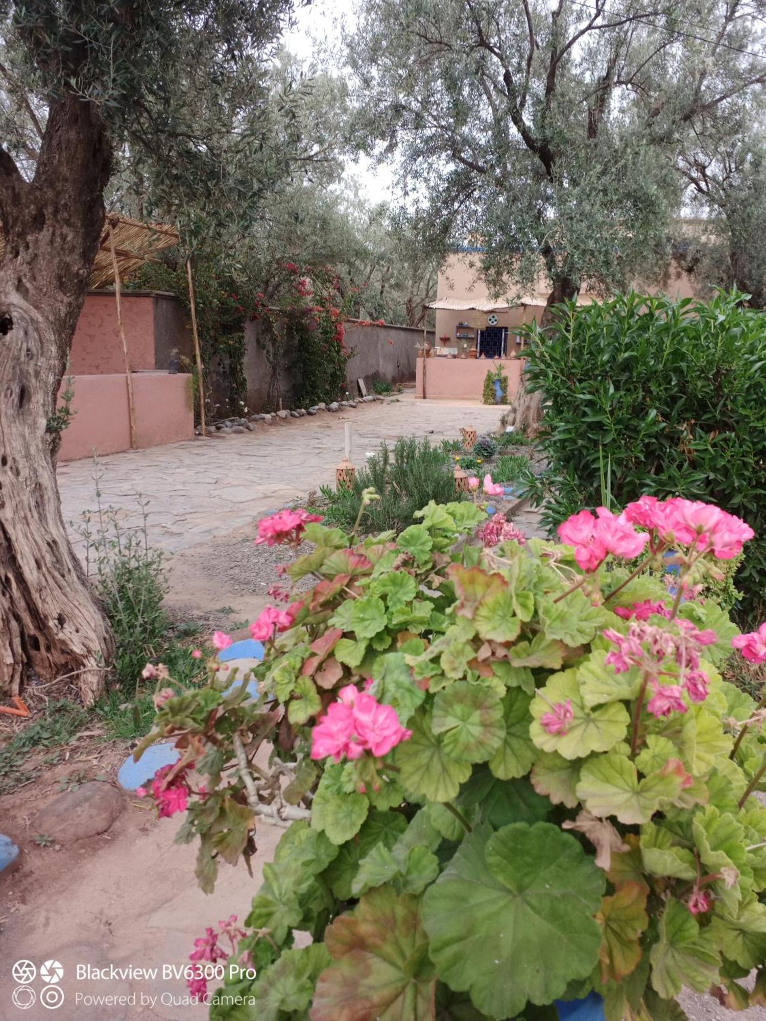 Les Delices D Aya Apartment Tahanaout Exterior foto